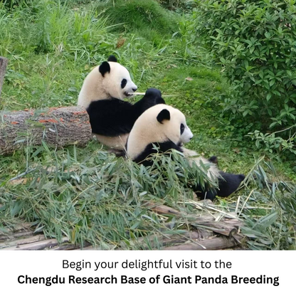 Travel Redemption Voucher:  6-day Sichuan Discovery Tour for 2 people